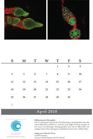 calendar