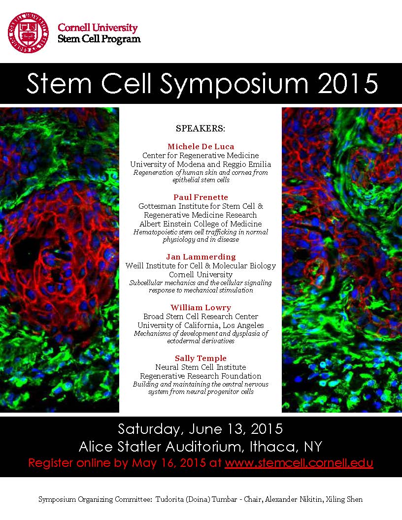 5th Stem Cell Symposium poster