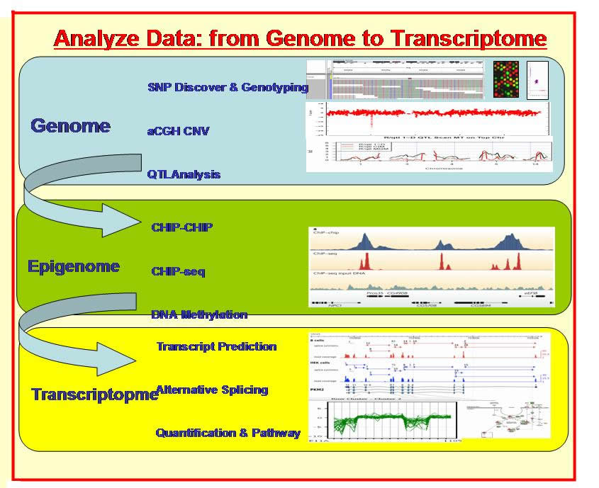 analyze data from genome to transcriptome